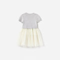 Grey Knit Tulle Dress