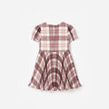 Burgundy Check Print Chiffon Dress