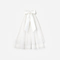 Satin Bow Embellished Veil