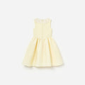 Yellow Taffeta Lace Dress