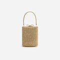 Gold Crystal Mini Bag