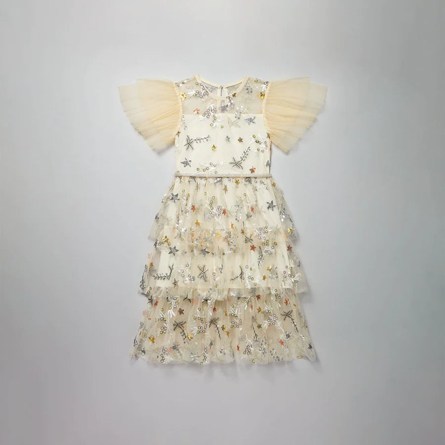 Ivory Star Mesh Midi Dress